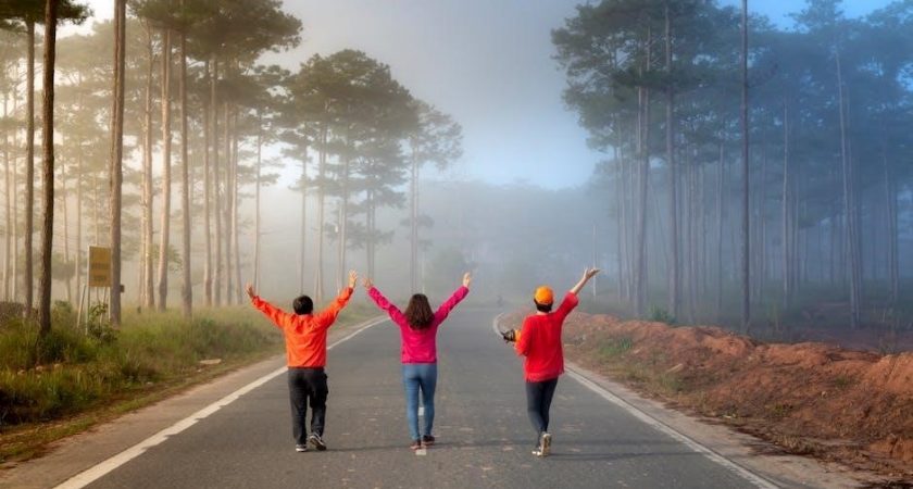 harry potter and the half-blood prince pdf free