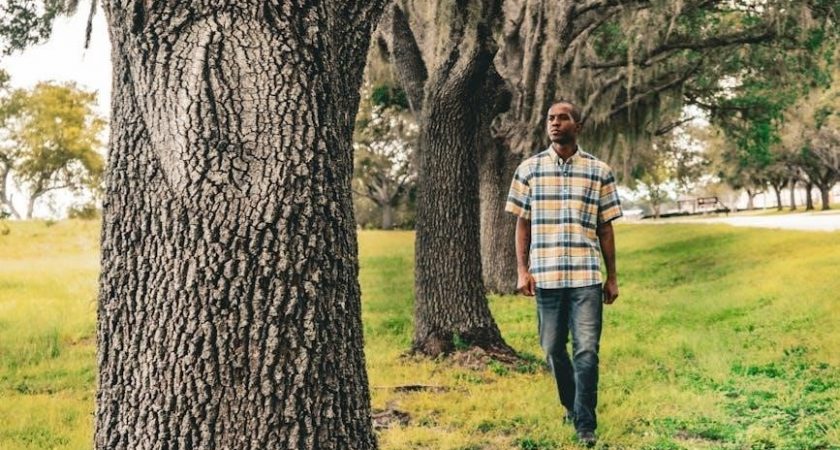 psychology 12th edition david myers pdf