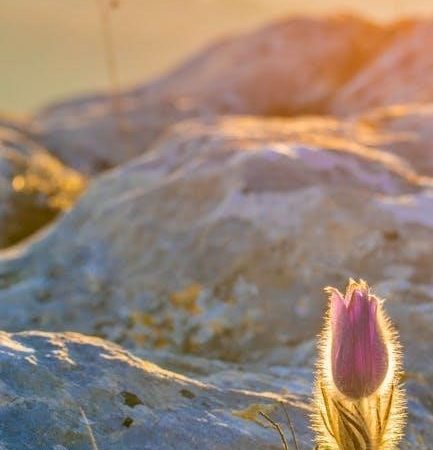 eckhart tolle a new earth pdf